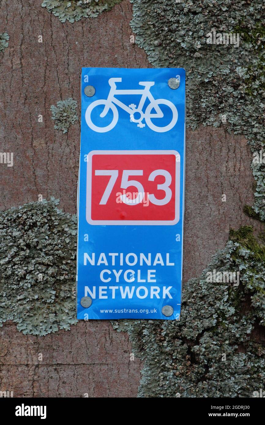 Route markers on a wooded, traffic-free section of National Cycle ...