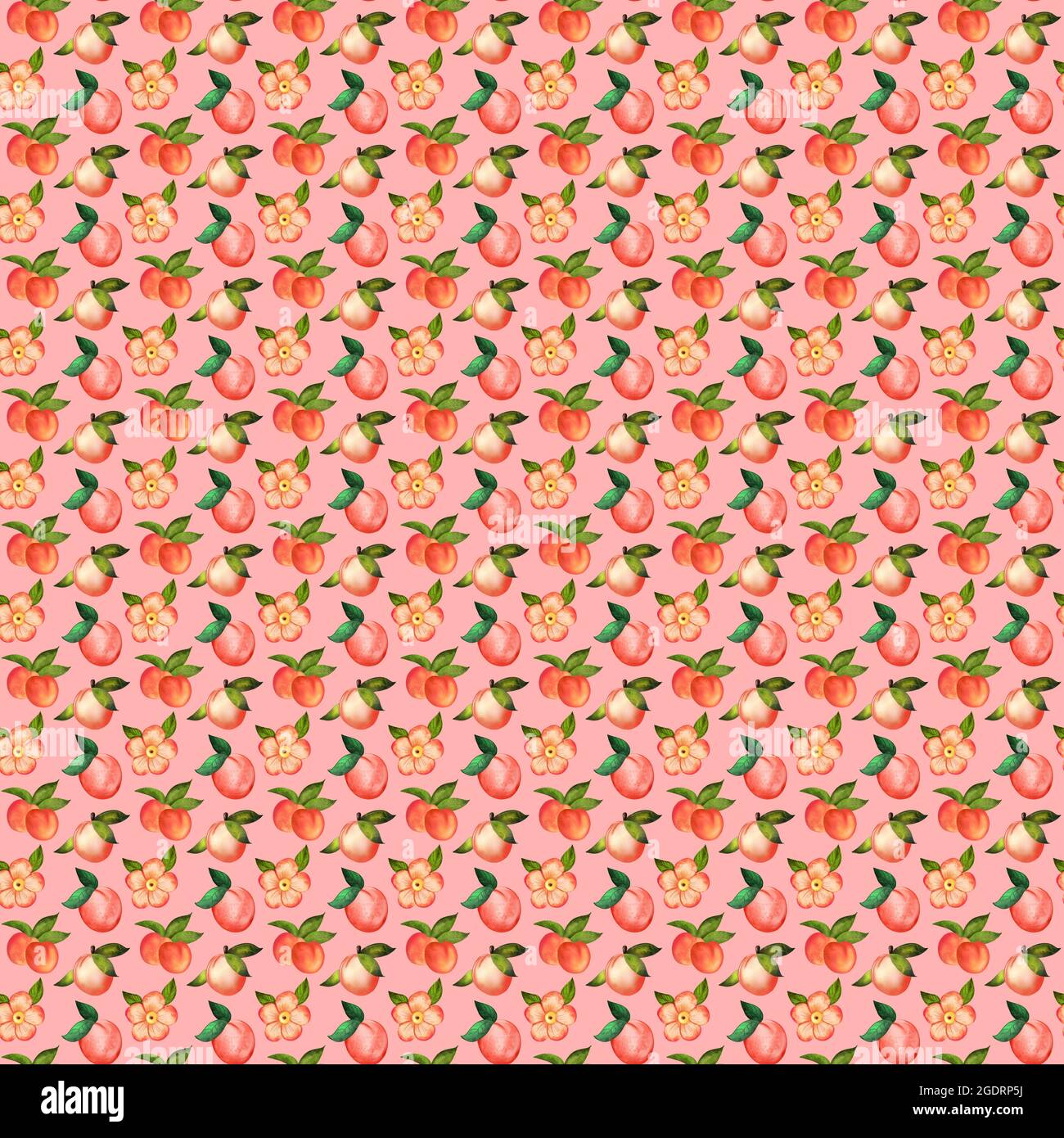 Illustration digital watercolor seamless pattern of peach and flowers ...