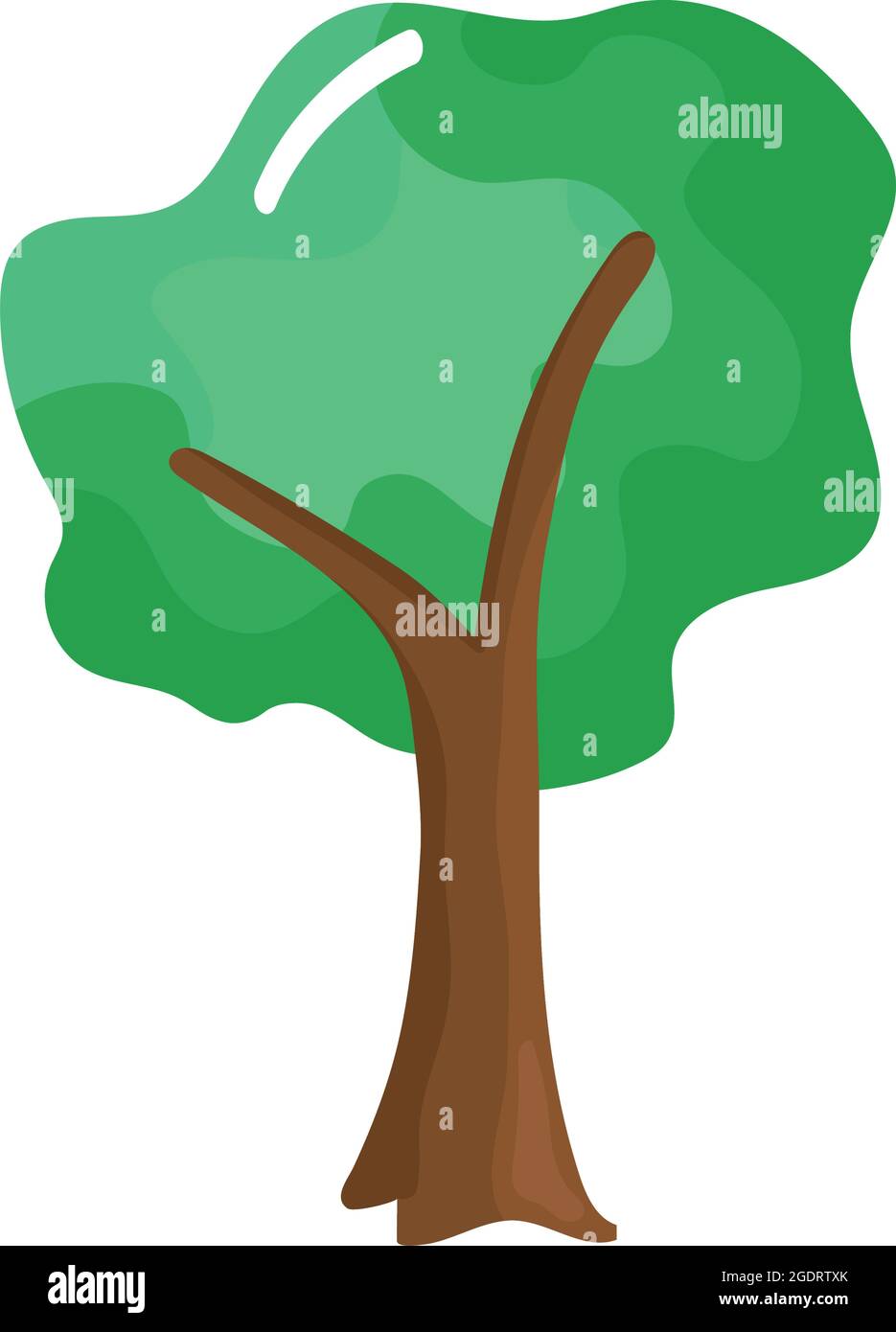 tree plant forest Stock Vector Image & Art - Alamy