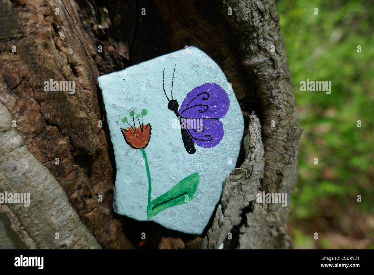 Kindness rock with painted butterfly in hollow of tree Stock Photo