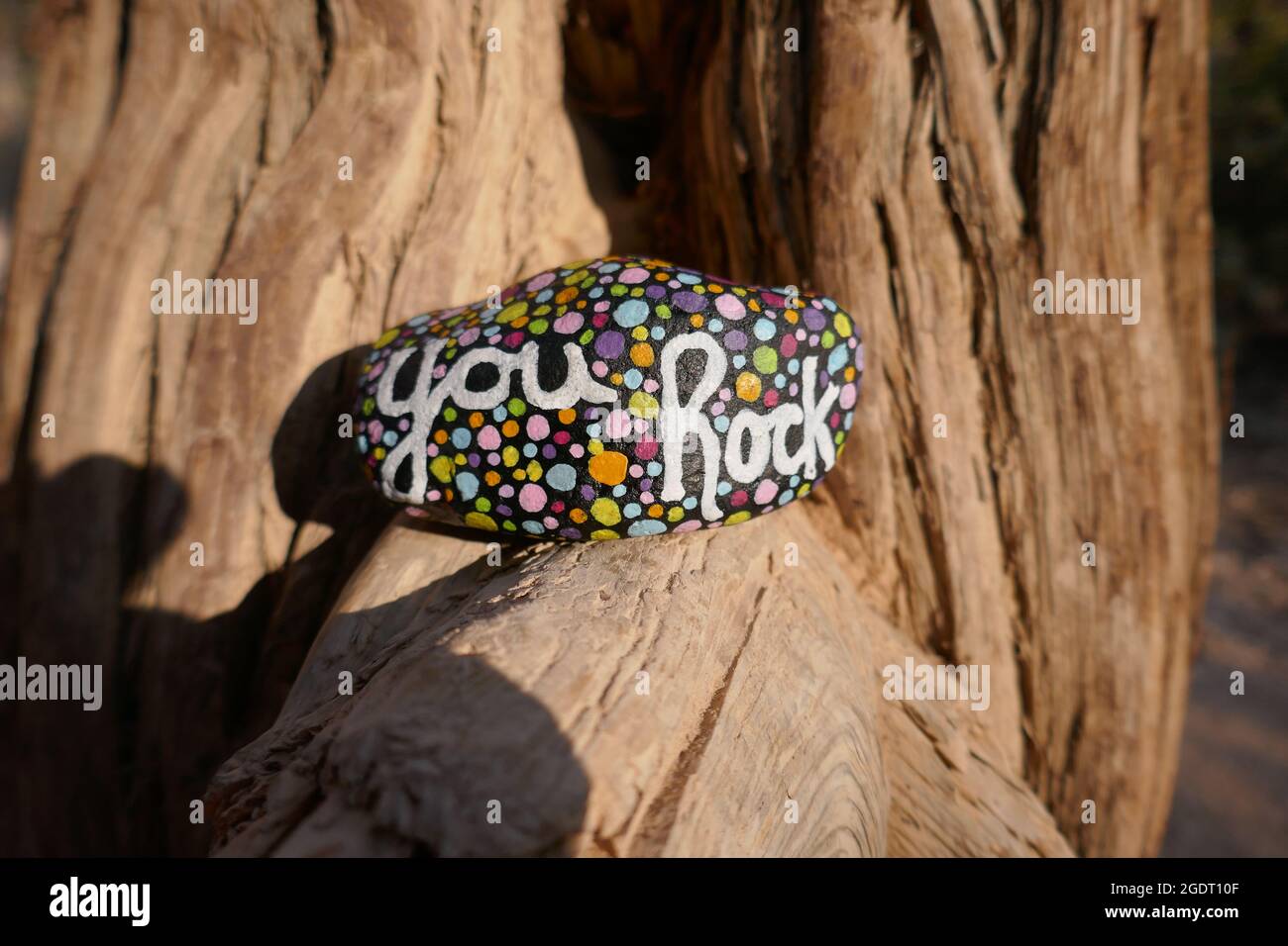 Dead tree in arid climate with you rock kindness rock Stock Photo