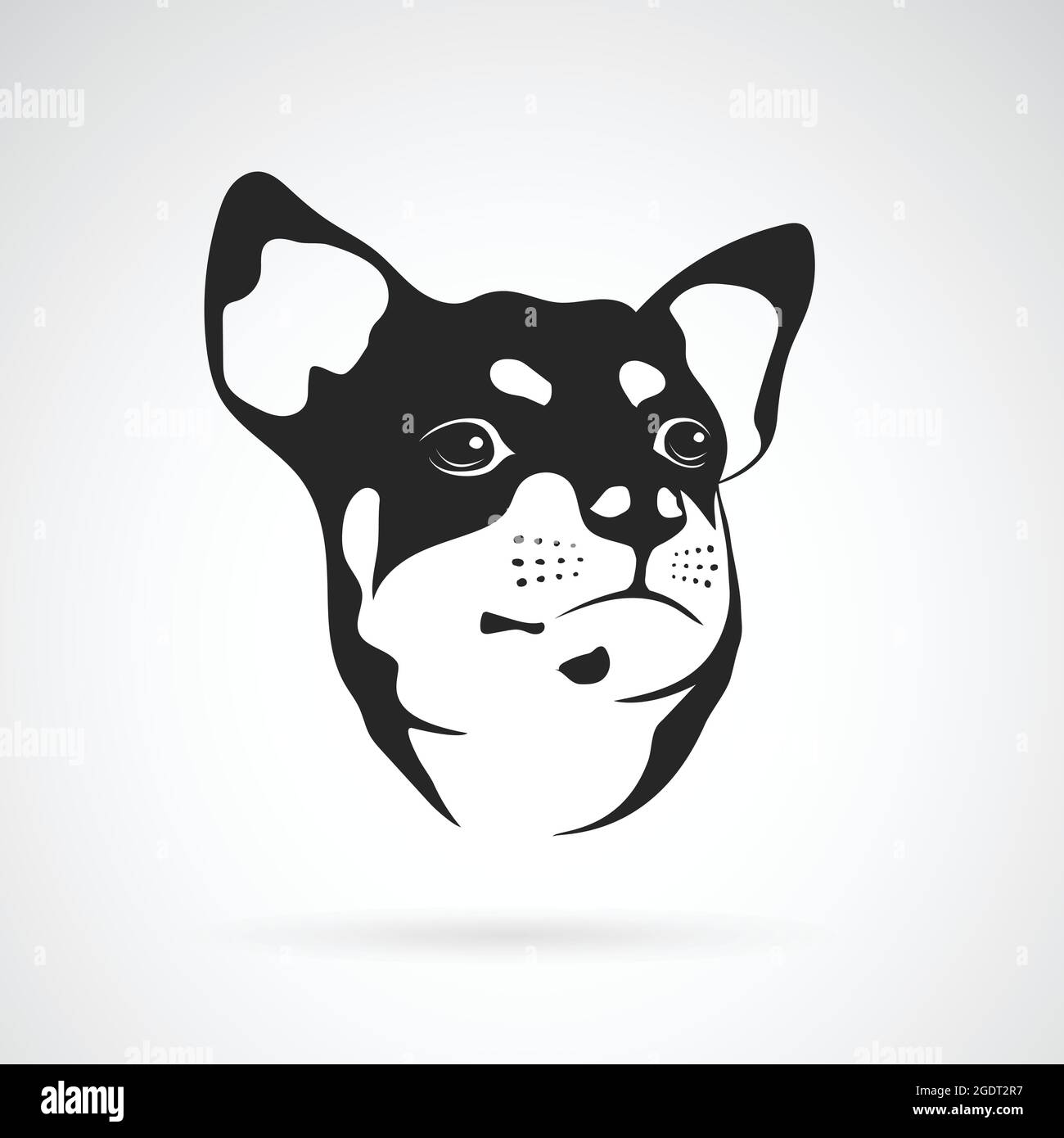 Vector Image Of Chihuahua Dog On White Background Easy Editable Layered Vector Illustration Animals Pet Stock Vector Image Art Alamy