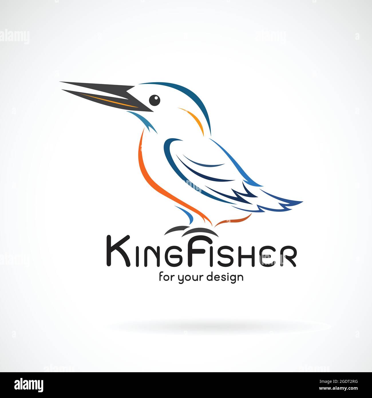 Vector of kingfishers bird(Alcedo atthis) on white background. Bird Design. Kingfishers logo or icon. Easy editable layered vector illustration. Stock Vector