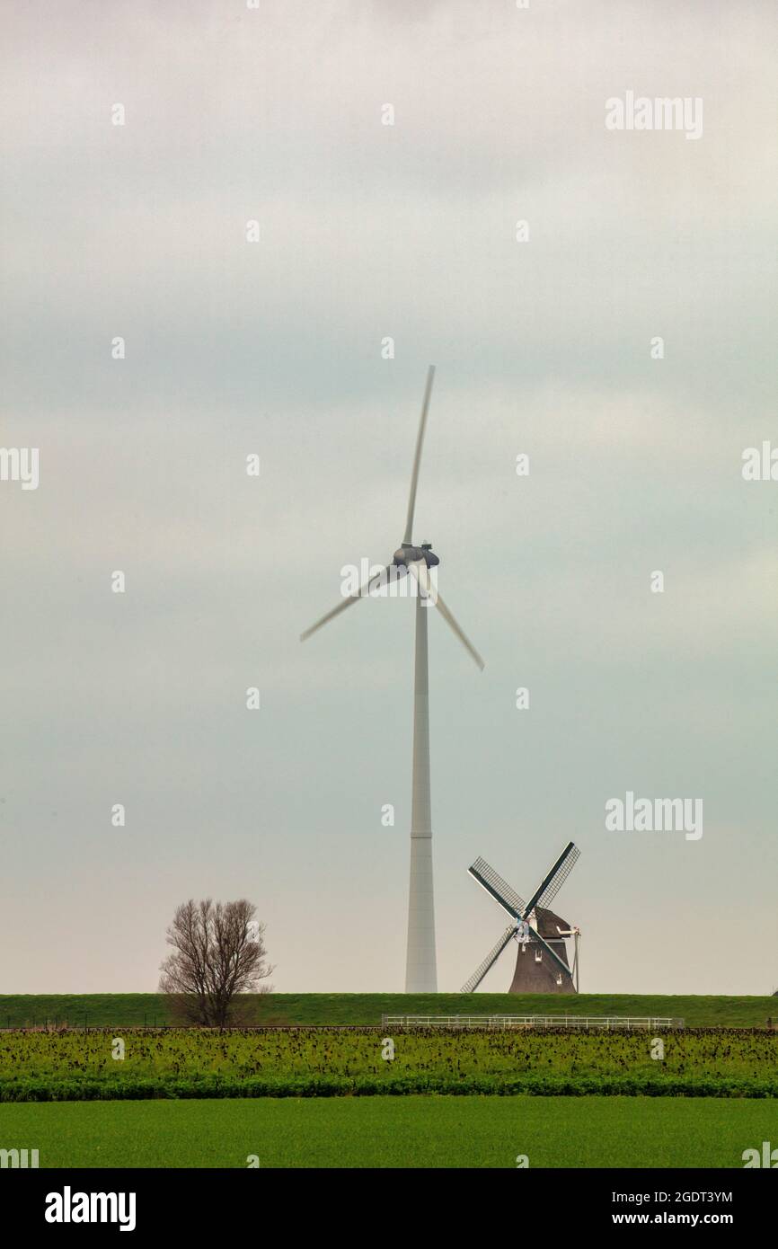 The Netherlands, Eemsmond, Eemshaven,  Wind turbine and traditional windmill Goliath. Stock Photo