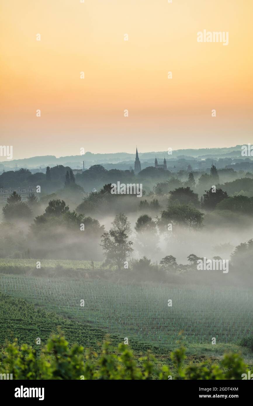 The Netherlands, Maastricht. Jeker river valley. Dwan, sunrise. Morning mist. Stock Photo