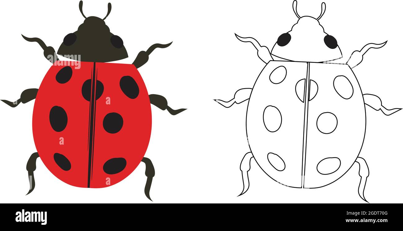 How to Draw a Ladybug – Emily Drawing