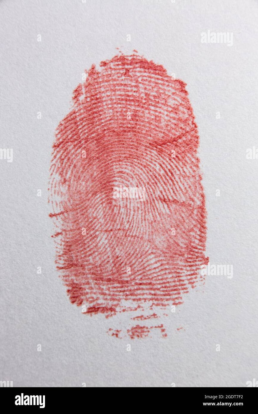 Fingerprint isolated on white background Stock Photo Alamy