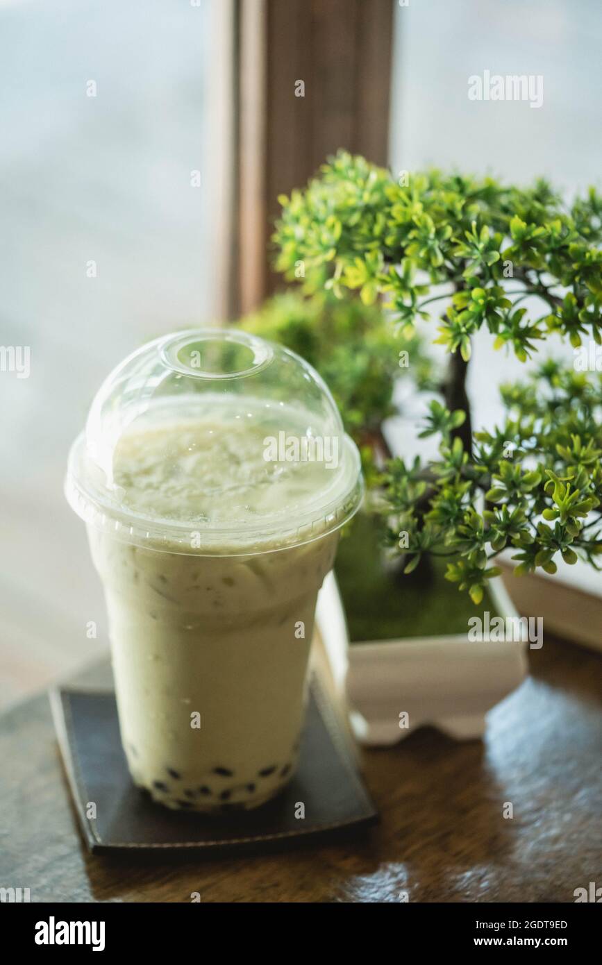 Iced bubble matcha green tea with artificial bonsai tree in Japanese