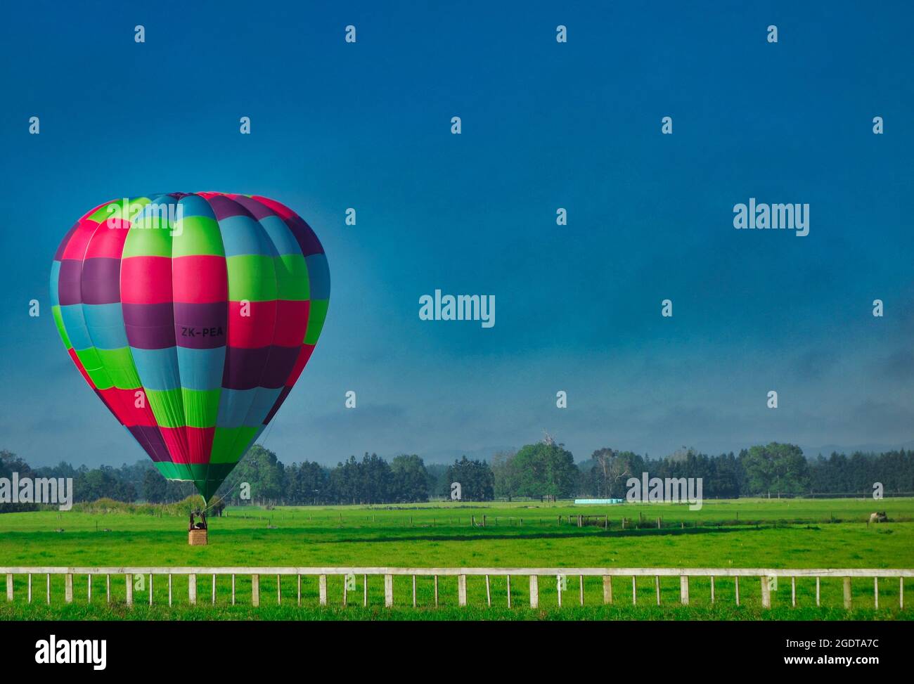 Colored balloon in New Zealand Stock Photo