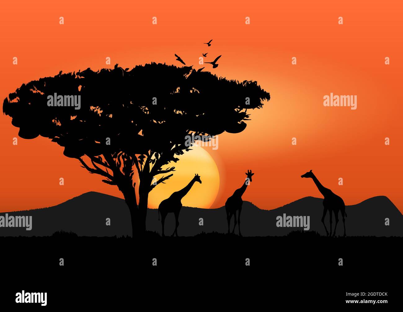 African sunset wallpaper Stock Vector Images - Alamy