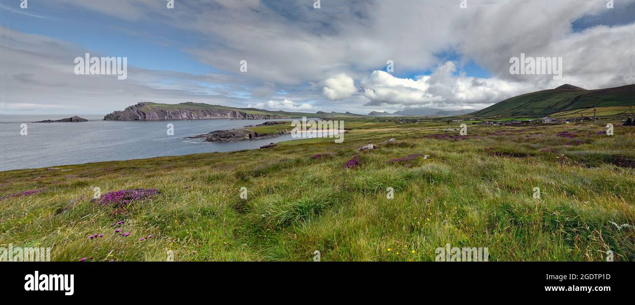 Panoramic of ballyferriter bay dingle peminsula hires stock