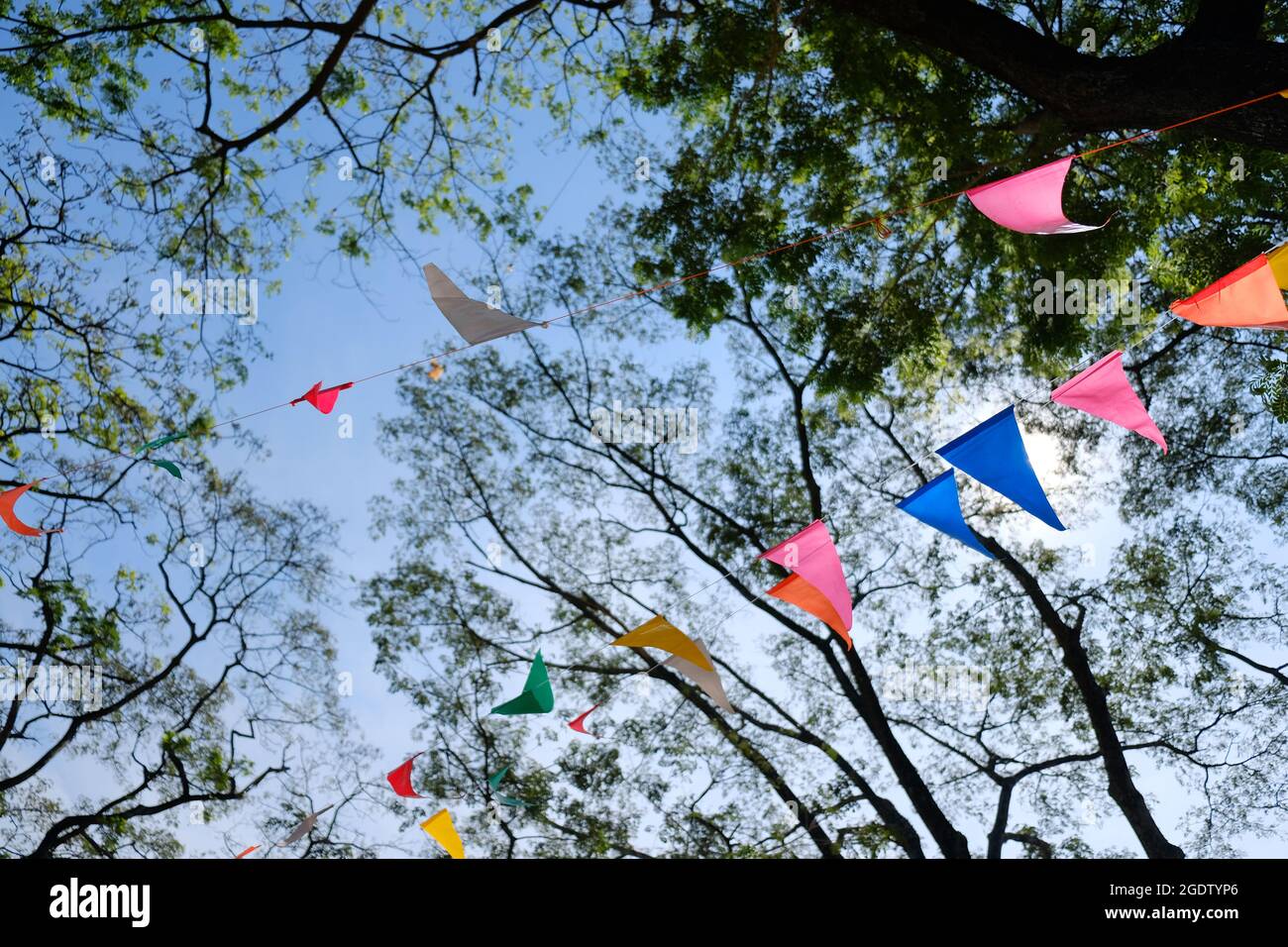 vivid color of fancy party flag strips decoration with blue sky and many trees in background Stock Photo