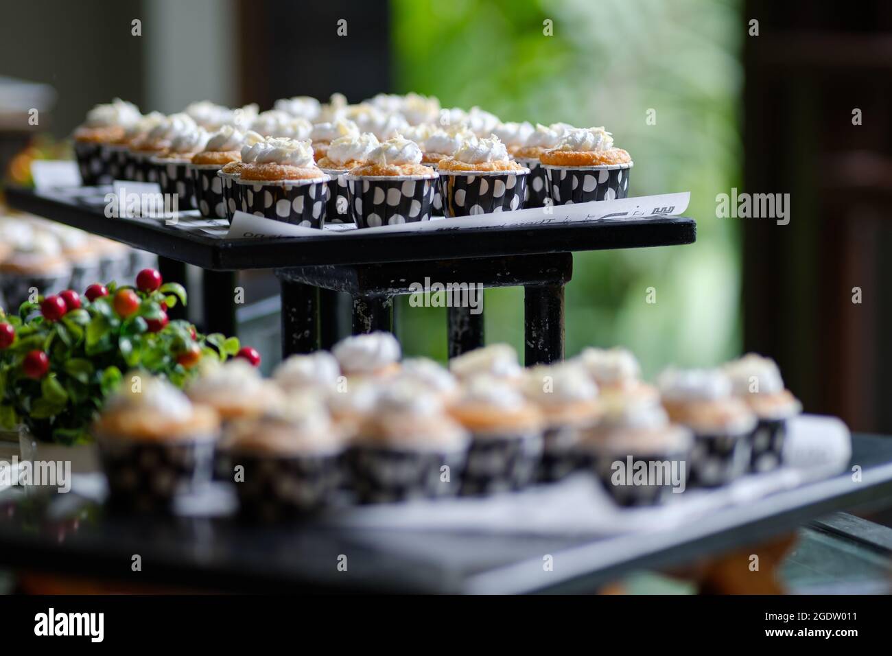 https://c8.alamy.com/comp/2GDW011/many-cupcakes-on-table-for-lunch-2GDW011.jpg