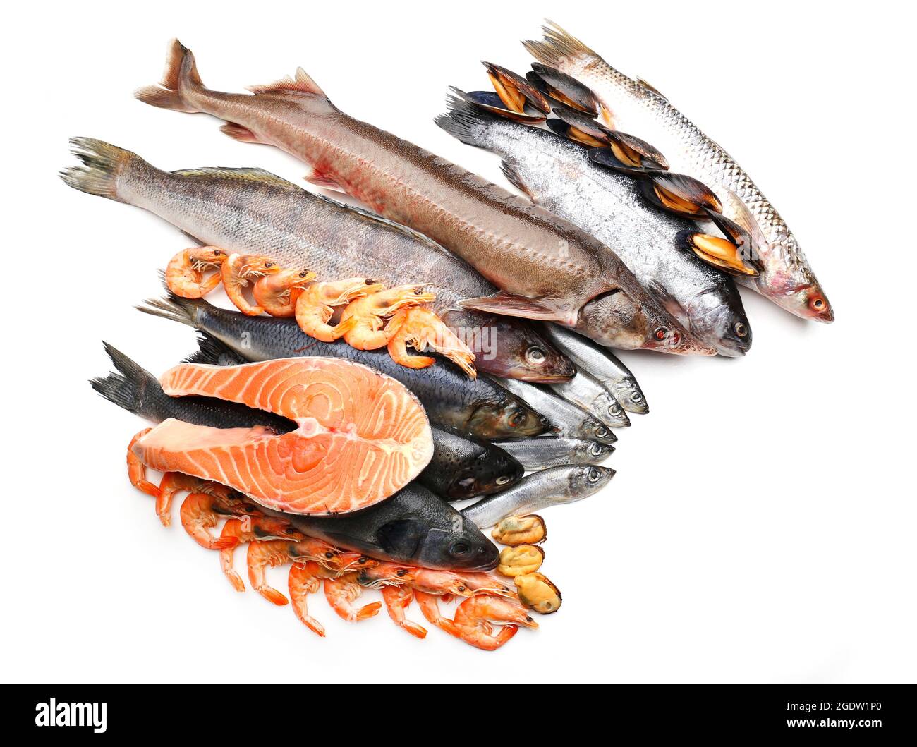 Fresh catch of fish and other seafood isolated on white Stock Photo Alamy