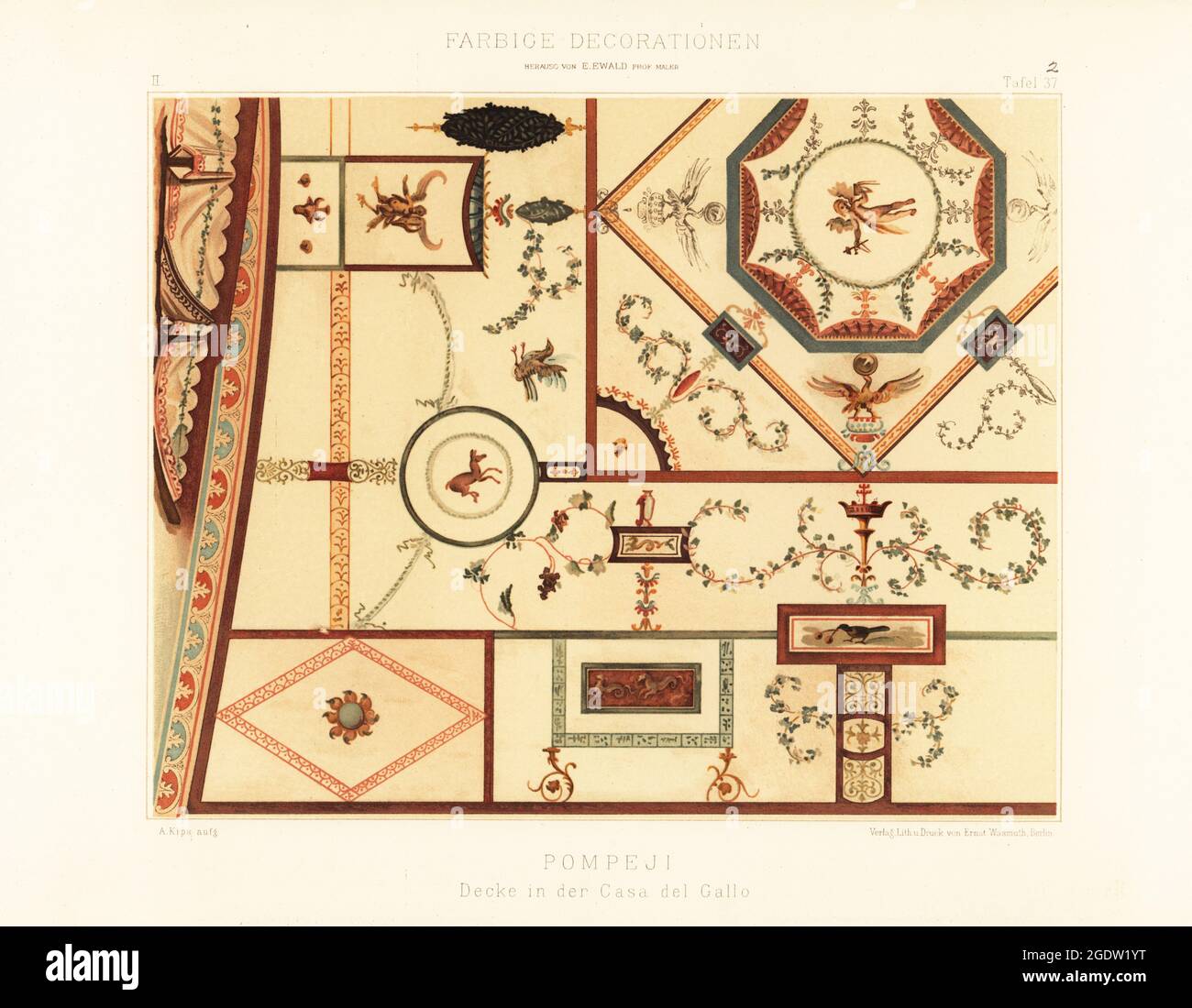Part of a decorated ceiling from the House of Chlorus and Caprasia or Casa del Gallo II (Reg. IX, Ins. II, No. 10), Pompeii, Italy. Decke in der Casa del Gallo, Pompeji. Chromolithograph by A. Kips from Ernst Ewald’s Farbige decorationen, alter und never Zeit (Color decoration, ancient and new eras), Ernst Wasmuth, Berlin, 1889. Stock Photo