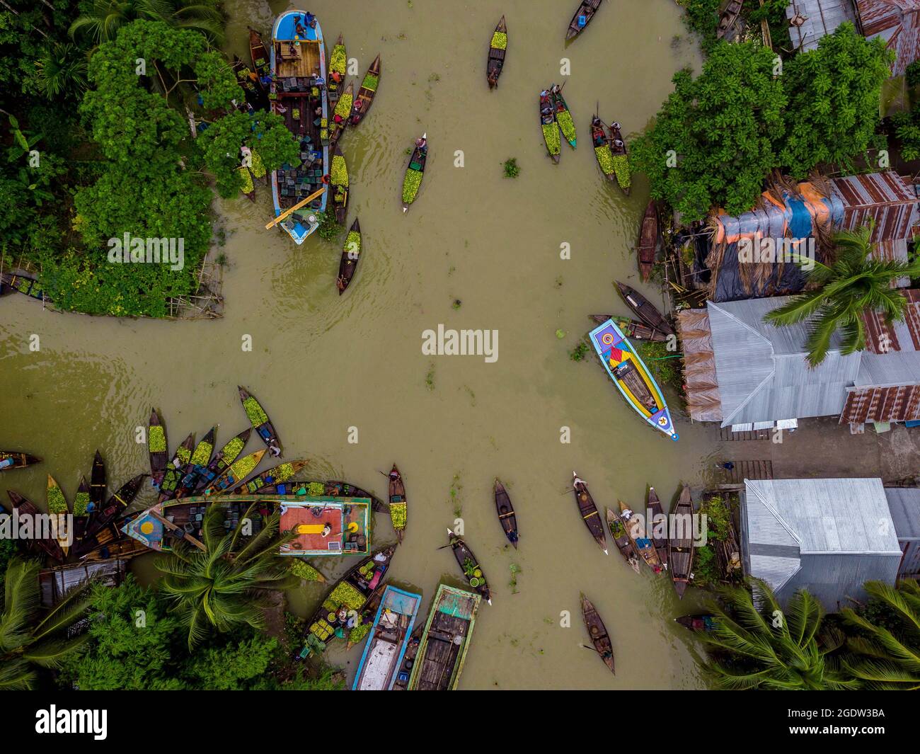 Barishal, Barishal, Bangladesh. 15th Aug, 2021. Among some of the most fascinating things in the Southwestern region of Bangladesh is the beautiful Floating Guava Market of Swarupkathi of Pirojpur in Barishal Division. And all of this started 125 years ago when one Purno Mondal from Nesarabad upazila brought back some guava seeds from Goya and planted them in his village home. The guava was a culinary hit with the locality and its fame gradually spread across the country. Today guava is cultivated in five unions of Swarupkathi (presently known as Nesarabad) across 640 hectares of land. The ey Stock Photo