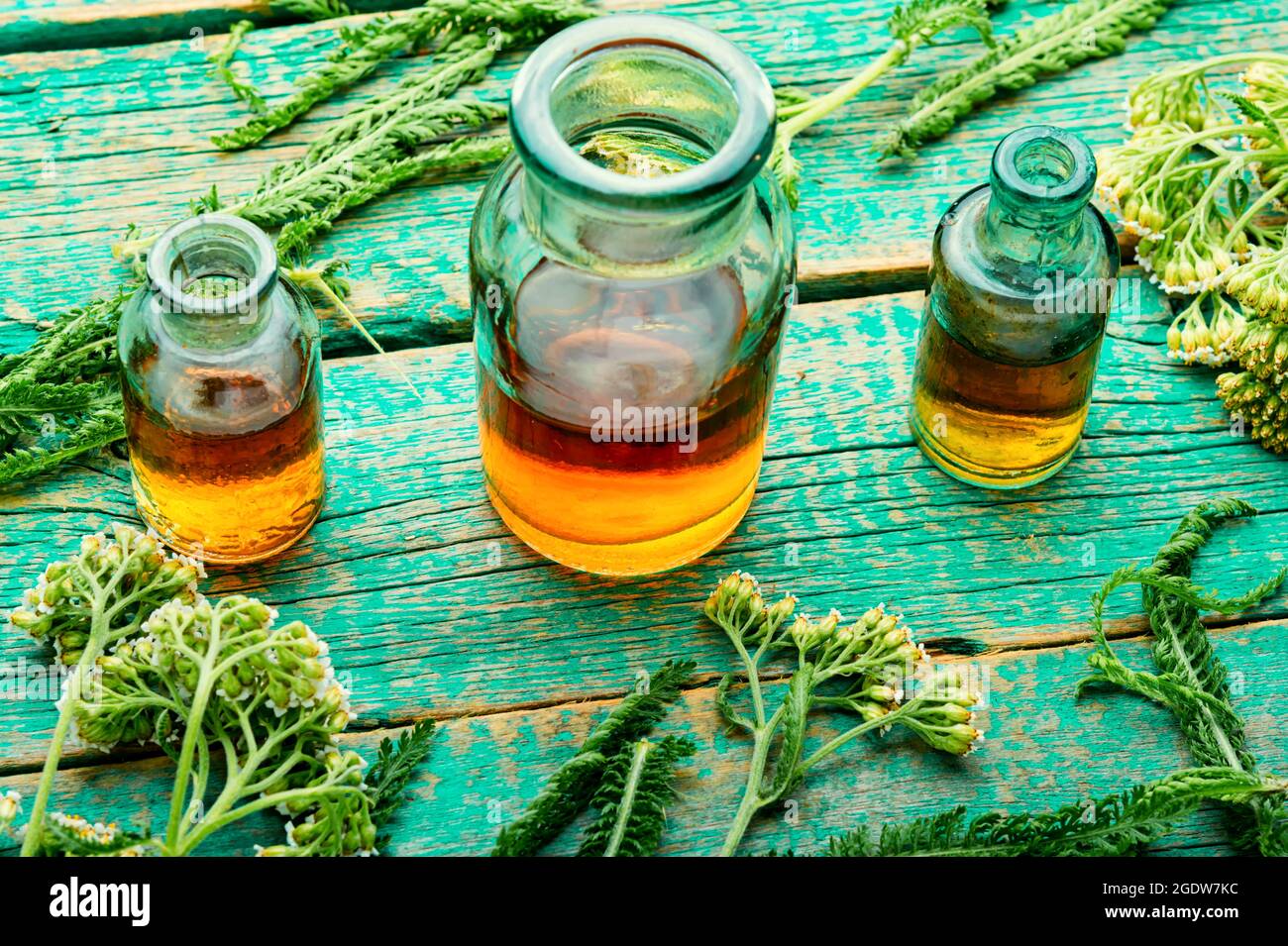 Jar of yarrow tincture.Medicine made from medicinal herbs.Herbalism and