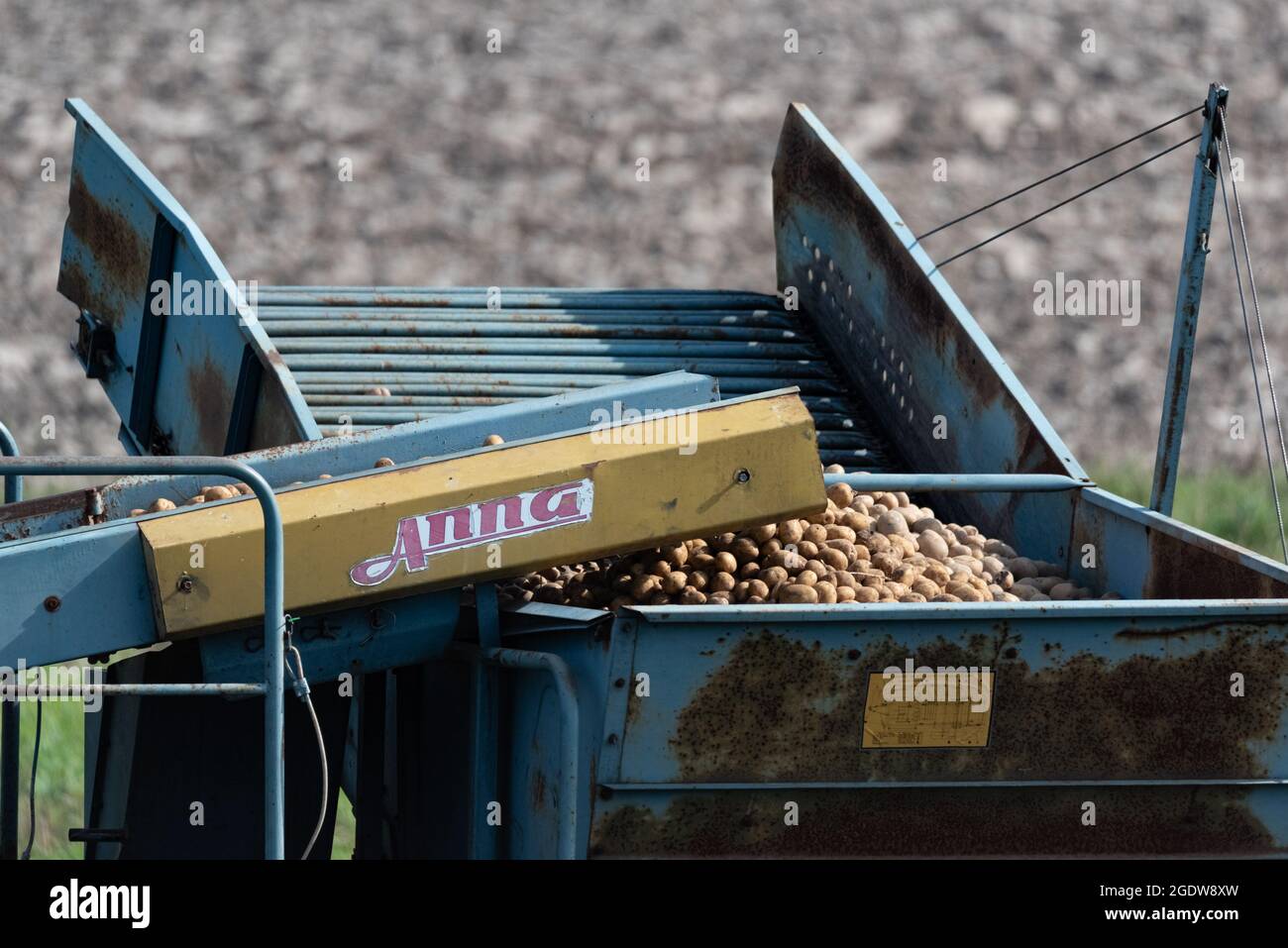 https://c8.alamy.com/comp/2GDW8XW/serock-poland-september-14-2020-harvesting-potatoes-with-an-old-harvester-agricultural-machinery-in-the-field-2GDW8XW.jpg