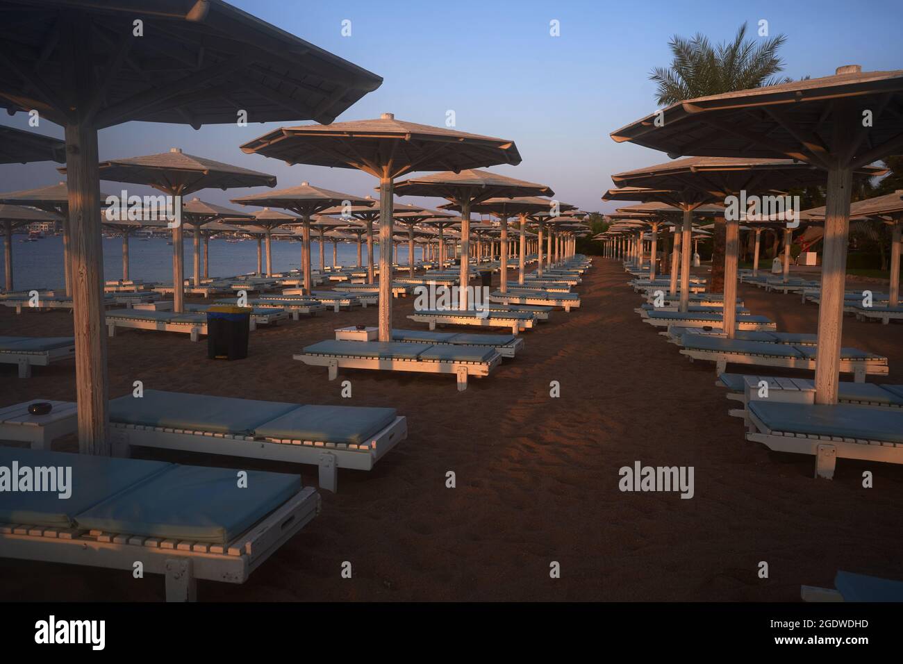 Umbrellas and sun loungers at luxury tropical resort on coral beach in the Red Sea. Resort complex on Red Sea. Typical resort beach. Stock Photo