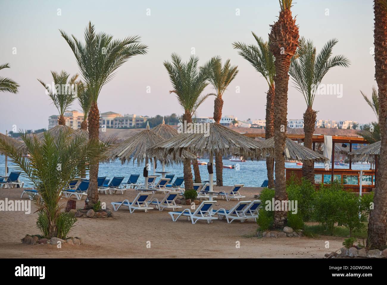 Umbrellas and sun loungers at luxury tropical resort on coral beach in the Red Sea. Resort complex on Red Sea. Typical resort beach. Stock Photo