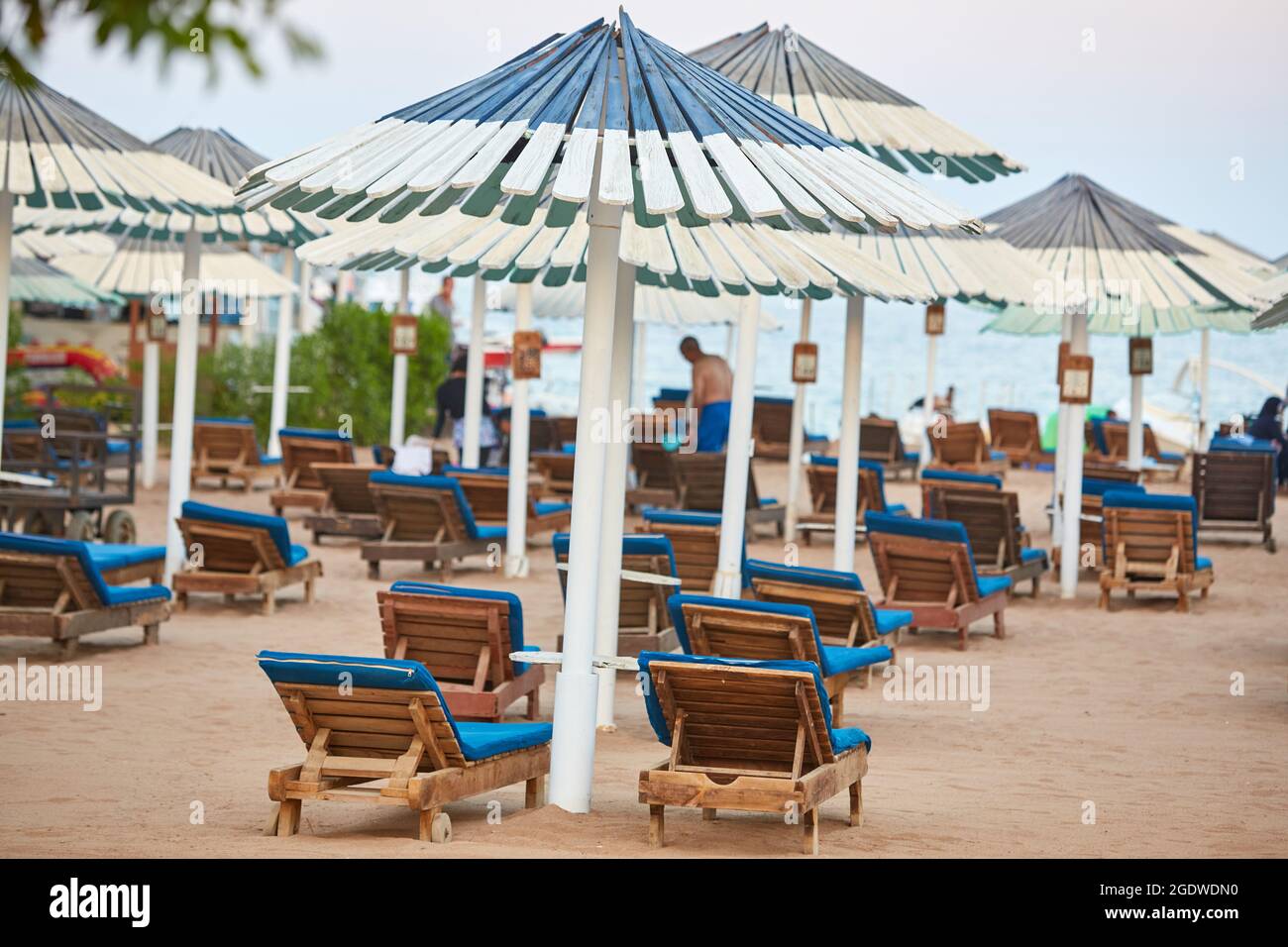 Umbrellas and sun loungers at luxury tropical resort on coral beach in the Red Sea. Resort complex on Red Sea. Typical resort beach. Stock Photo