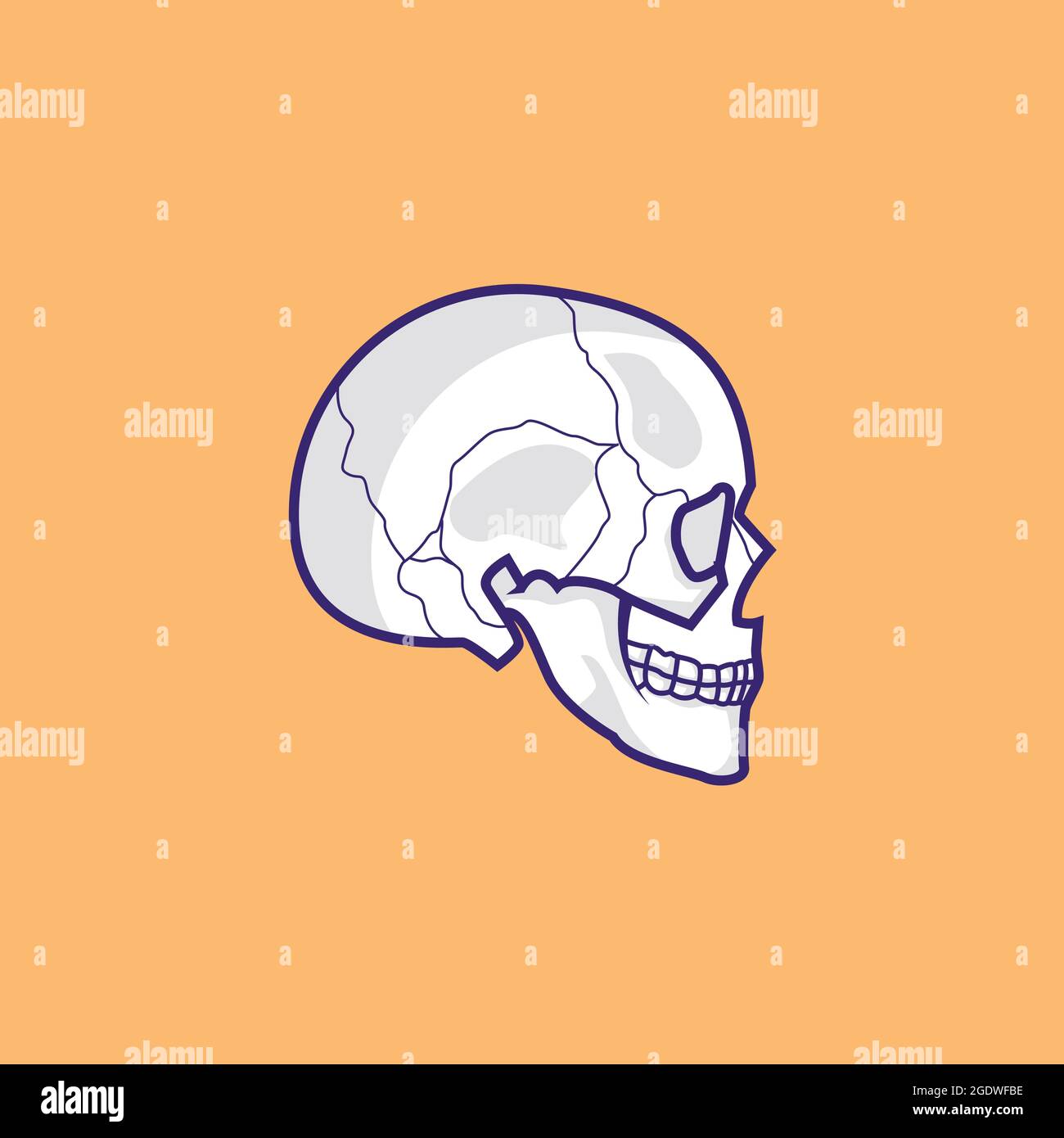 side view skull vector stock illustration, skull isolated design Stock Vector