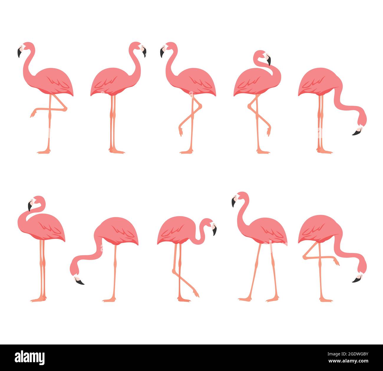 Flamingo bird animal set isolated on white background. Vector Stock ...