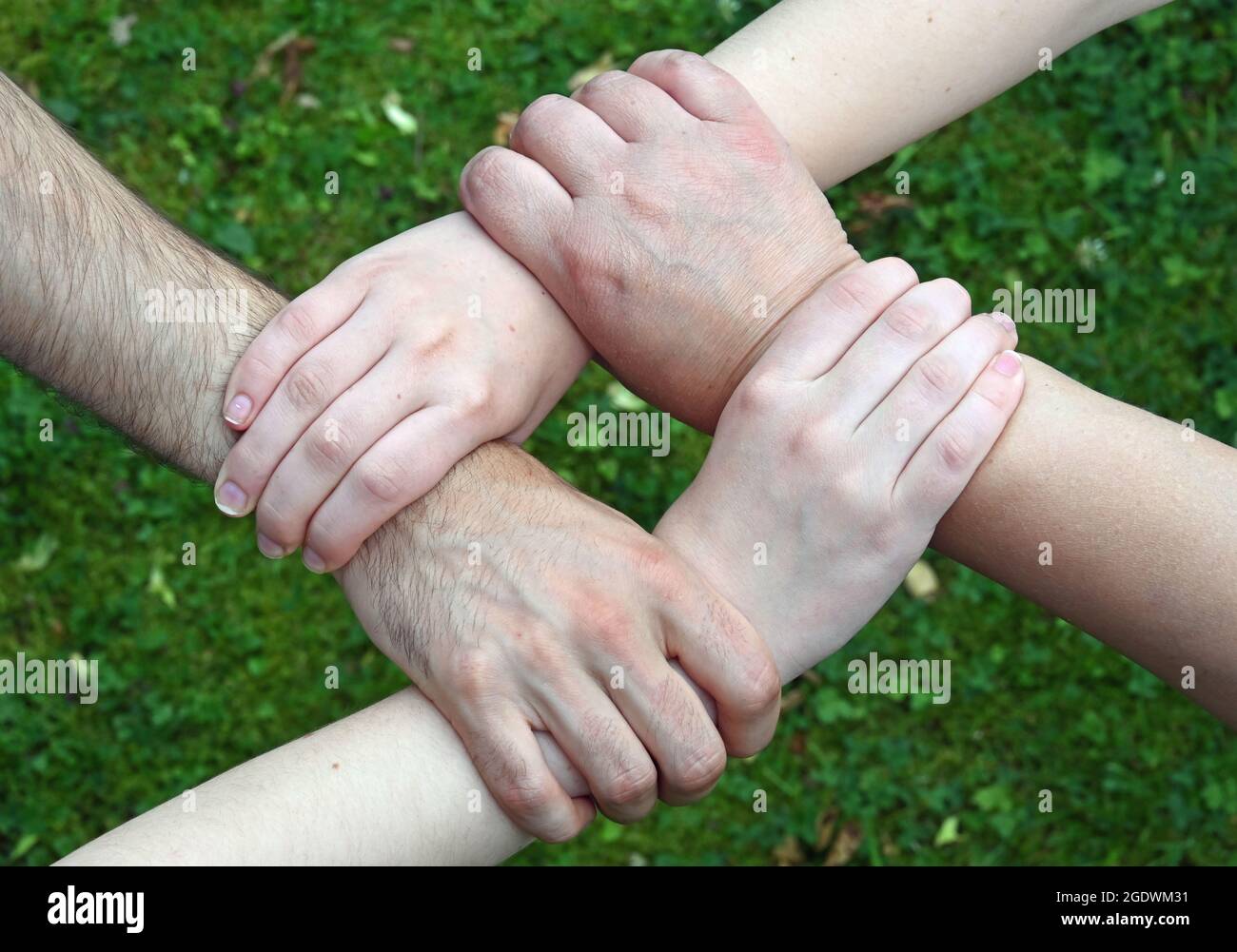 Four hands grip the wrist of the person in front of them, forming a square Stock Photo