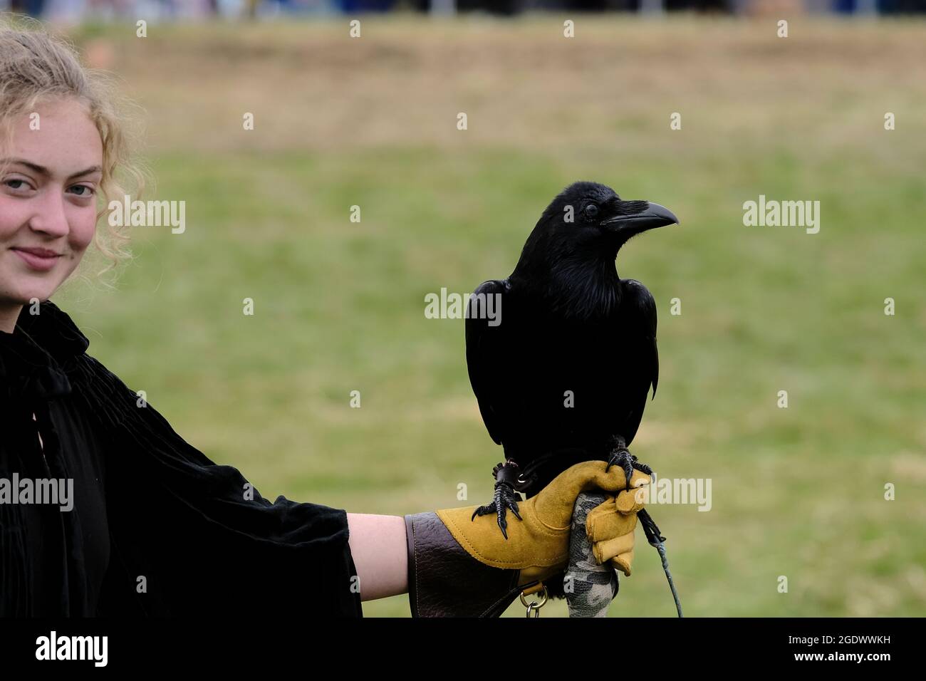 Melrose, Scotland, UK. 15th Aug, 2021. A raven named 'Ryan' in attendance as Sir Walter Scott is told to have kept the same at Abbotsford. The inaugural festival, ScottFest 2021, is being held at Abbotsford, Scott's home in the Scottish Borders, over the legendary author's 250th birthday weekend, Saturday August 14th and Sunday August 15th. Credit: Rob Gray/Alamy Live News Stock Photo