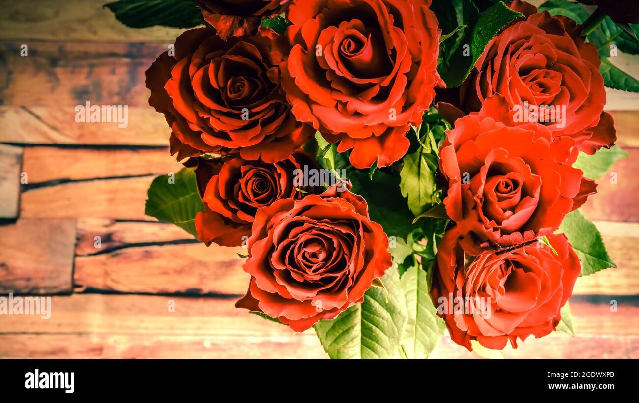 The rose has an unusual colour and a beautiful fragrance. beautiful ...