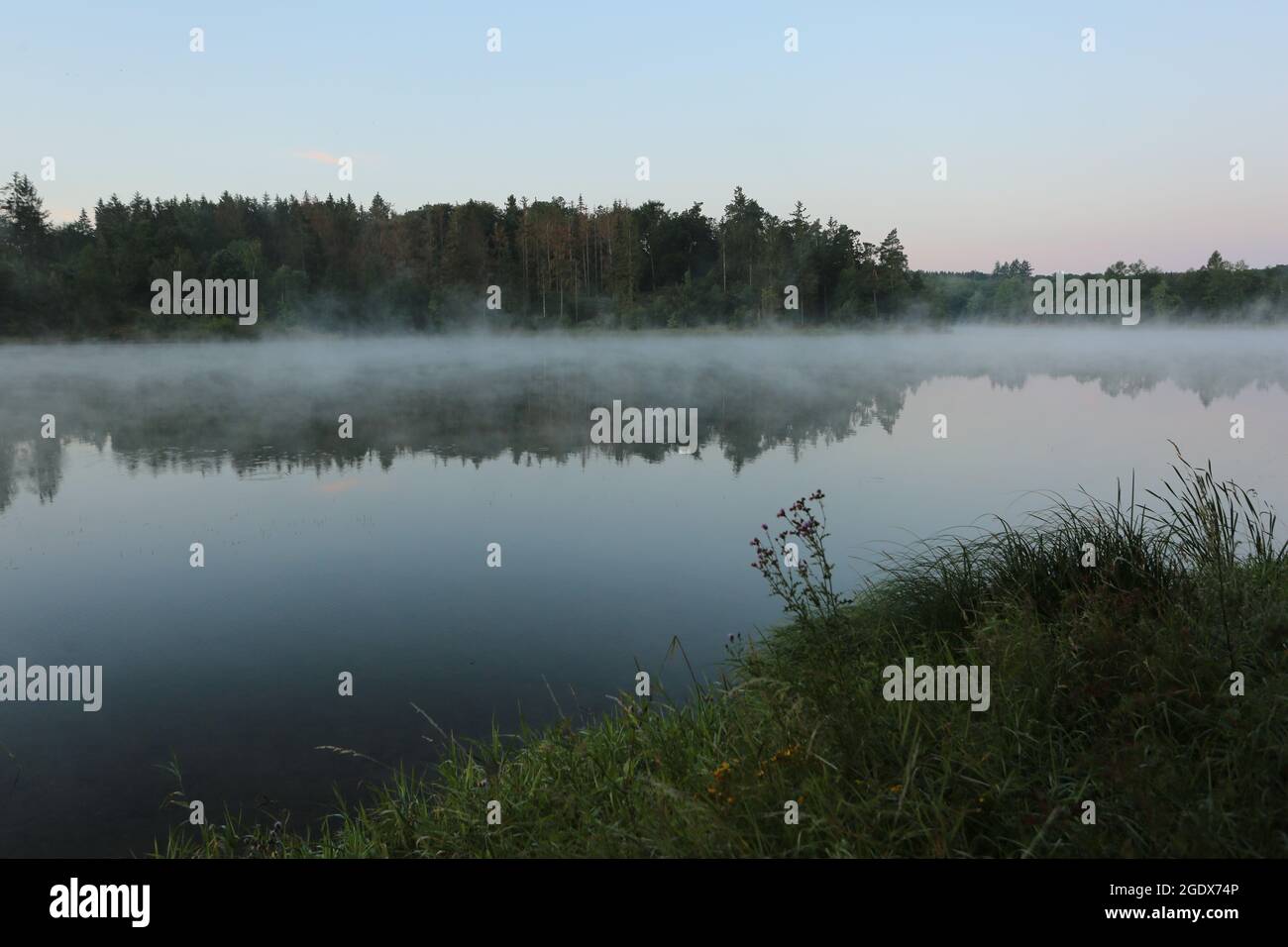 15 August 2021, Saxony-Anhalt, Harzgerode: Early morning fog lies over the Teufelsteich near Harzgerode. The pond was created in the 17th century to ensure the supply of the surrounding mines with water power. The pond owes its name to the Teufelsberg near Silberhütte. Since 1945 the pond has been used as a drinking water reservoir. It can accumulate up to 785000 cubic metres of water. Because of its size, the reservoir has the status of a dam. Photo: Matthias Bein/dpa-Zentralbild/ZB Stock Photo