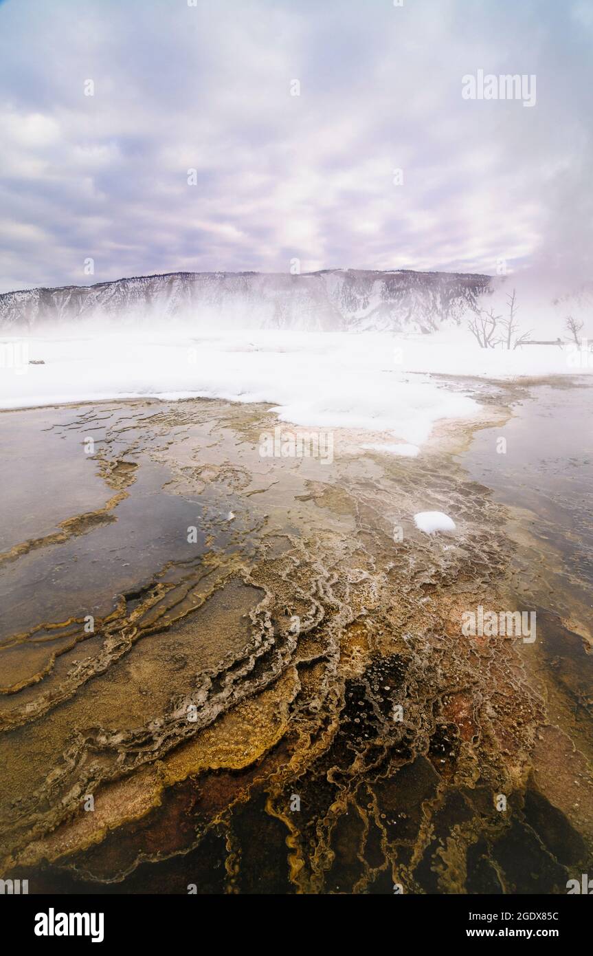 Patterns of algae in the Mammoth Hot Springs in Yellowstone during winter Stock Photo