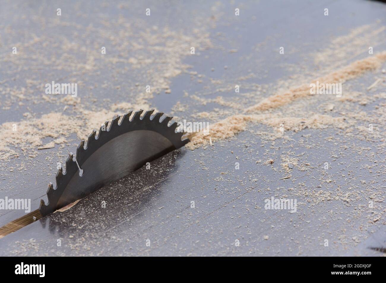 Saw blade closeup. Sawmill. Wood cutting machine. Woodworking Machine