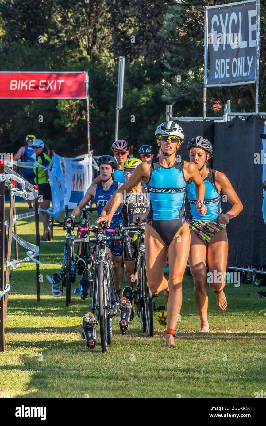 2xu bike hot sale