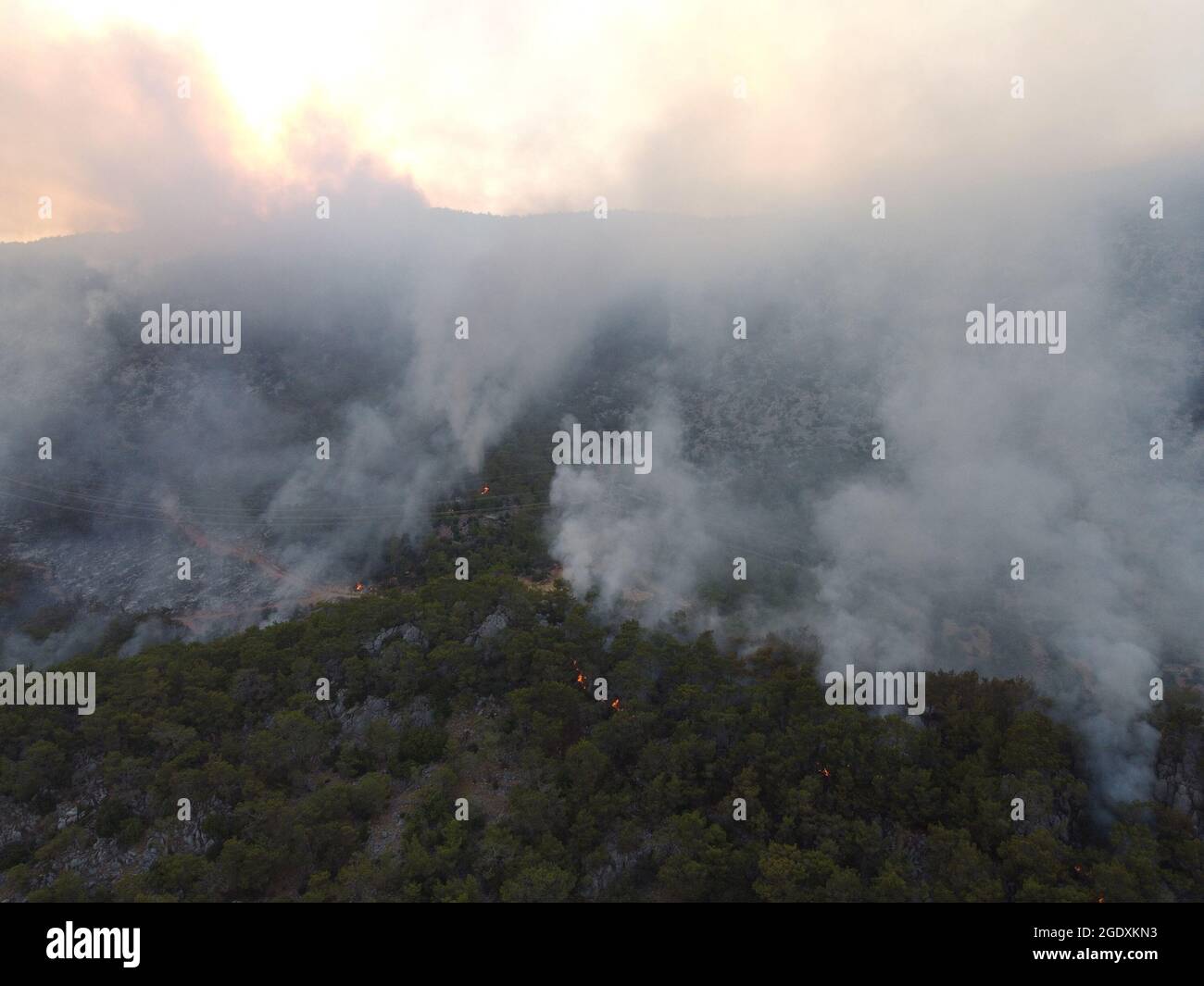 Smoke forest fire obscures sun hi-res stock photography and images - Alamy