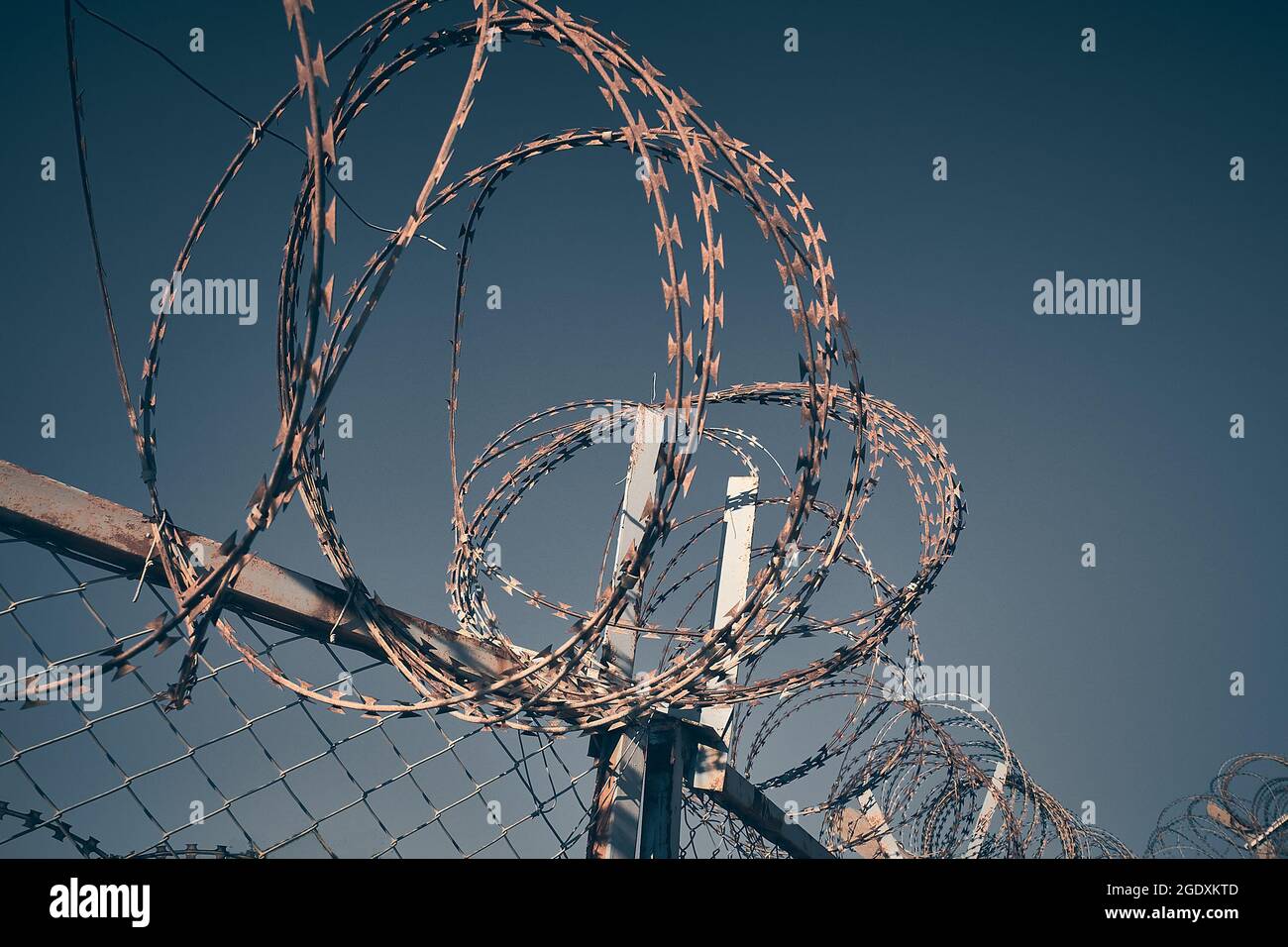 Barbed wire against dark blue evening sky Stock Photo