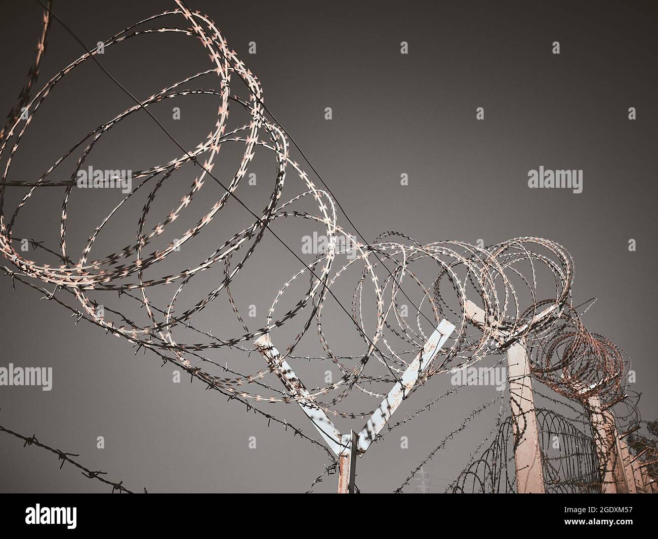 Barbed wire against dark grey sky Stock Photo