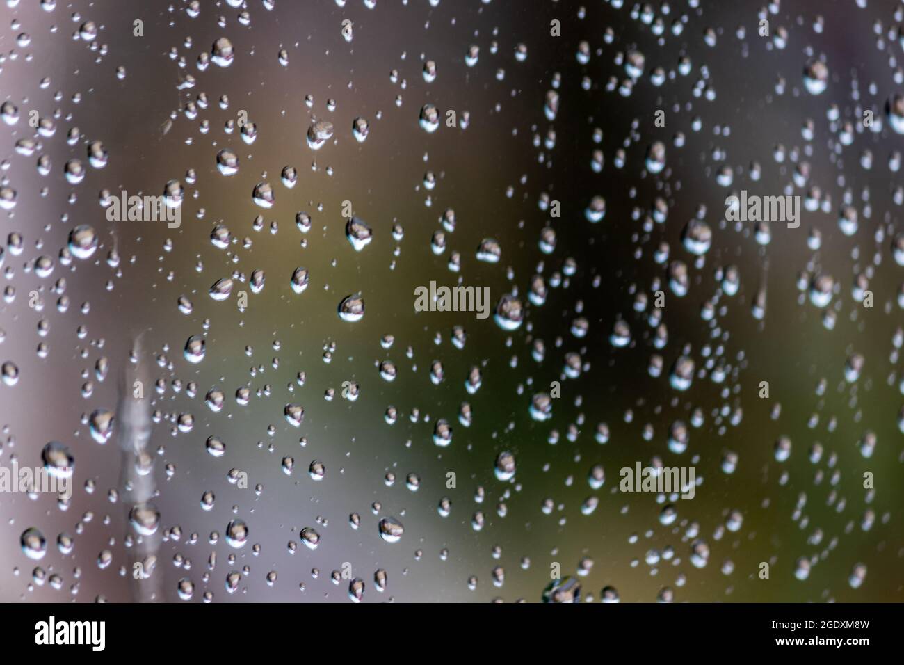 Rain drops must be caught on camera before they slip away Stock Photo