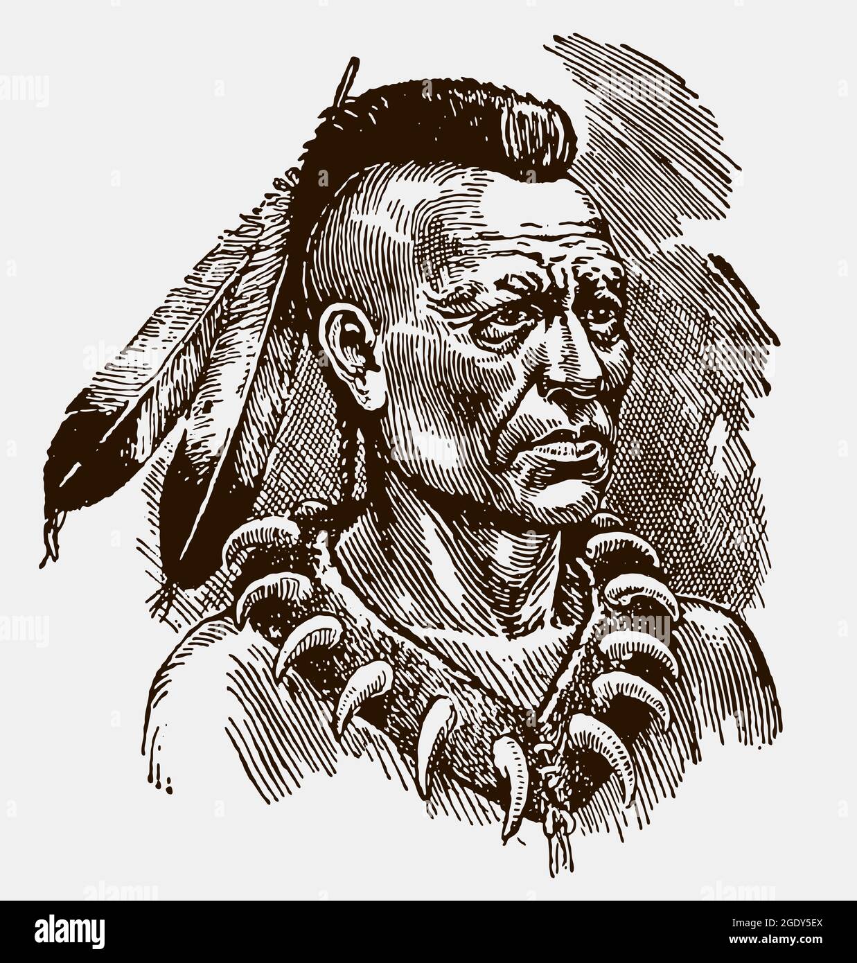 Portrait of a wendat warrior wearing claw necklace and feathers. Illustration after antique engraving from early 20c Stock Vector