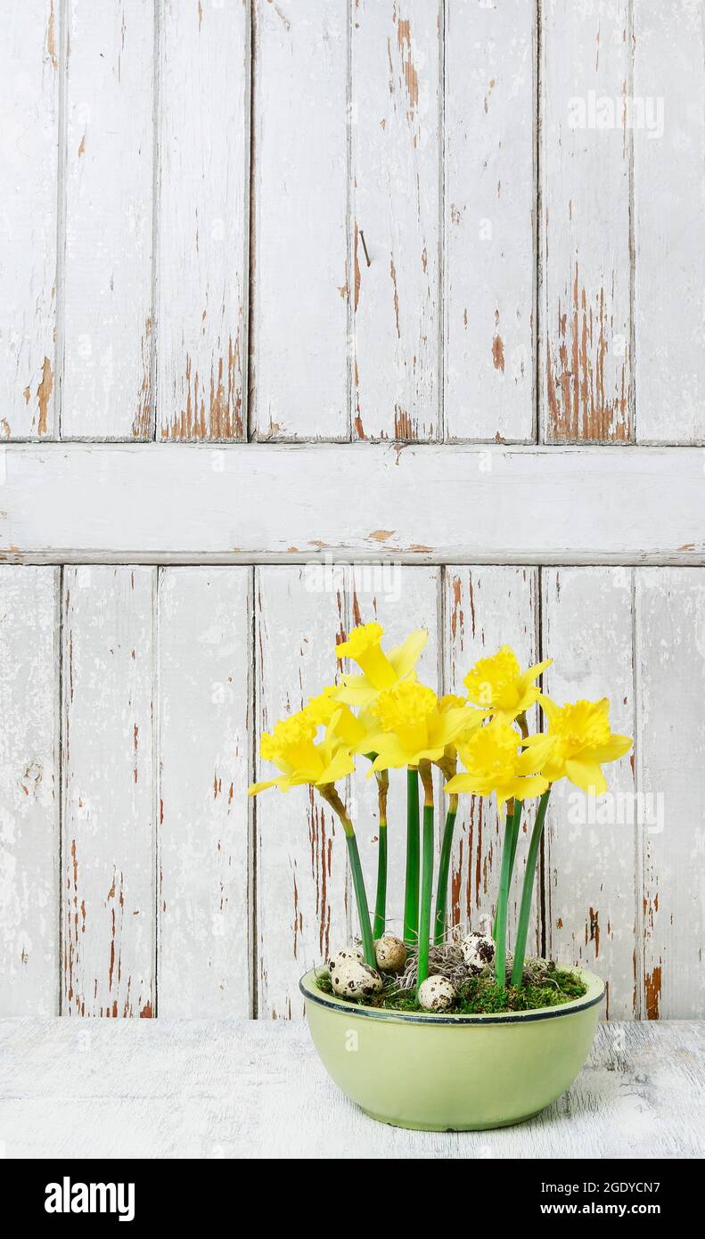 Easter table decoration with daffodils, eggs and moss in ceramic bowl. Stock Photo