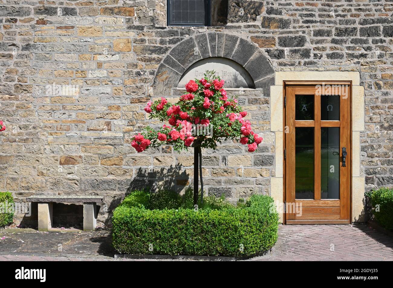 Rose bed in front of the medieval village church in Peetzen Stock Photo