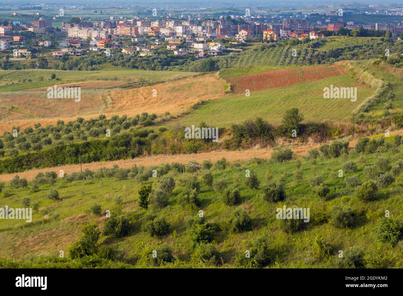 Patos, Fier Region, Albania.  View across farmland to the city. Stock Photo