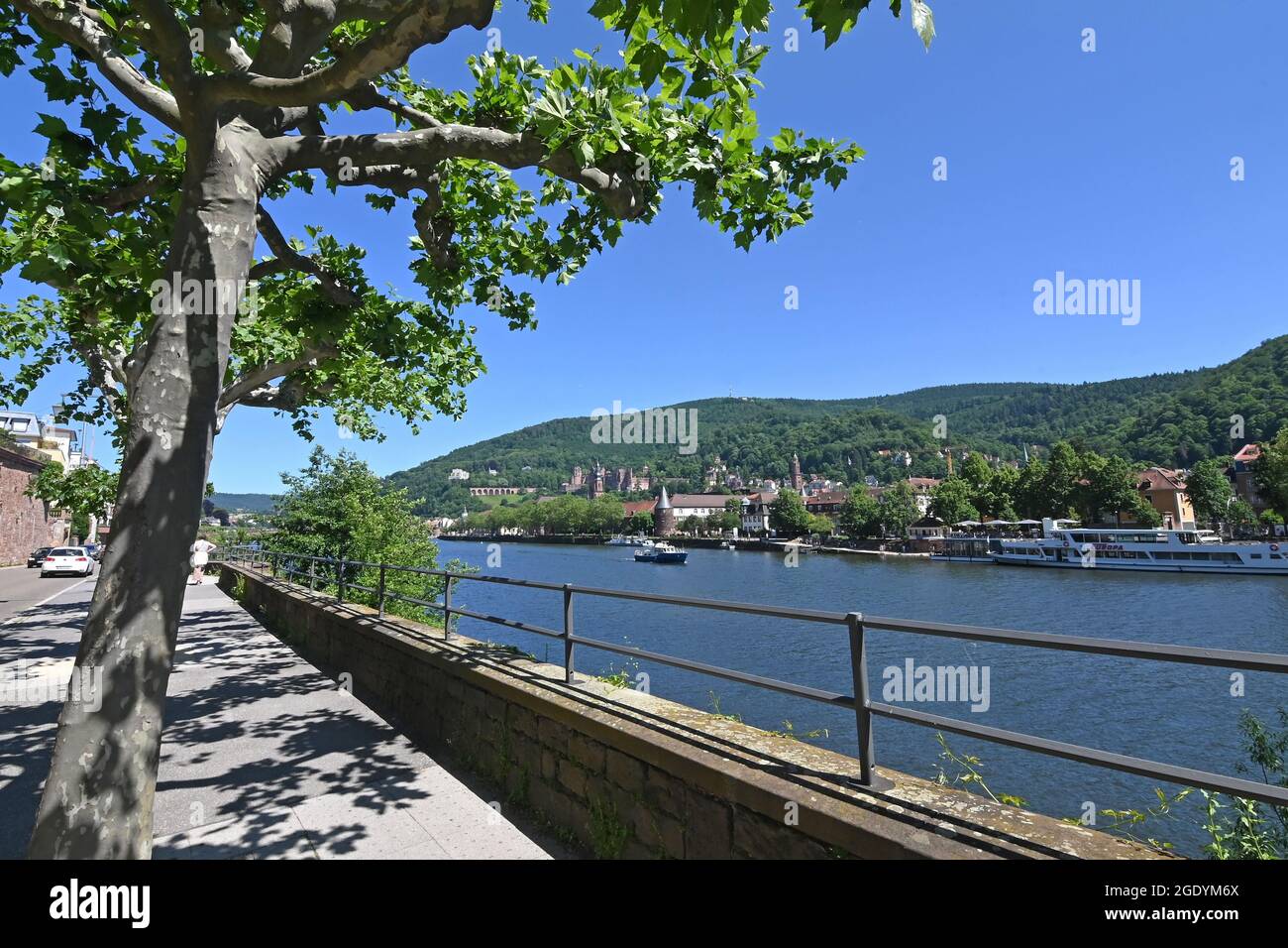 Riverside promenade in Heidelberg on the Neckar Stock Photo