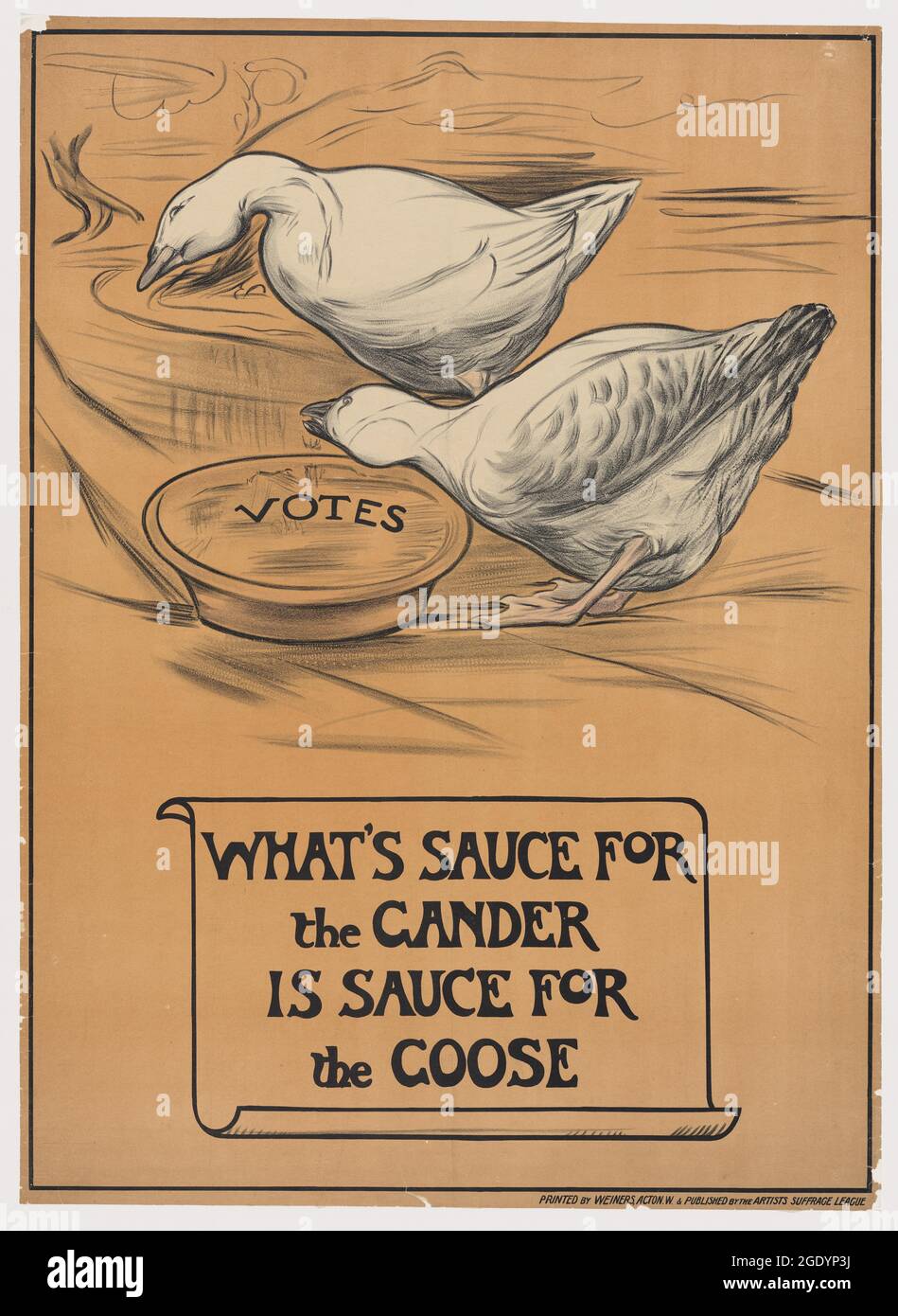 What's Sauce For The Gander Is Sauce For The Goose Stock Photo Alamy