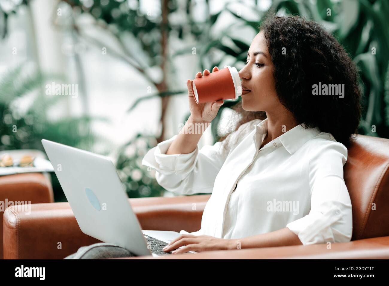 young woman drinks coffee while working on a laptop. Stock Photo