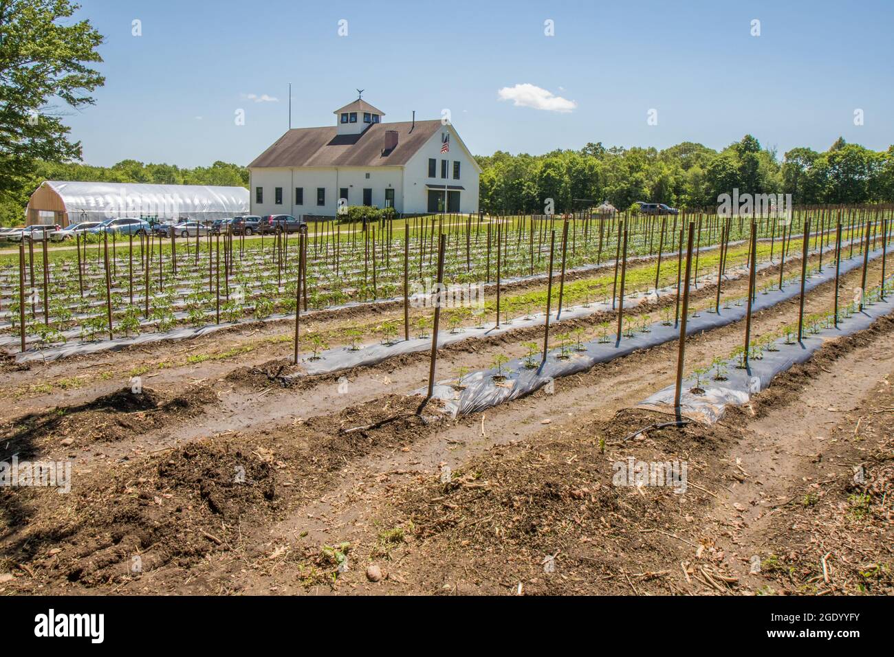 Brigham Hill Community Farm in North Grafton, Massachusetts Stock Photo