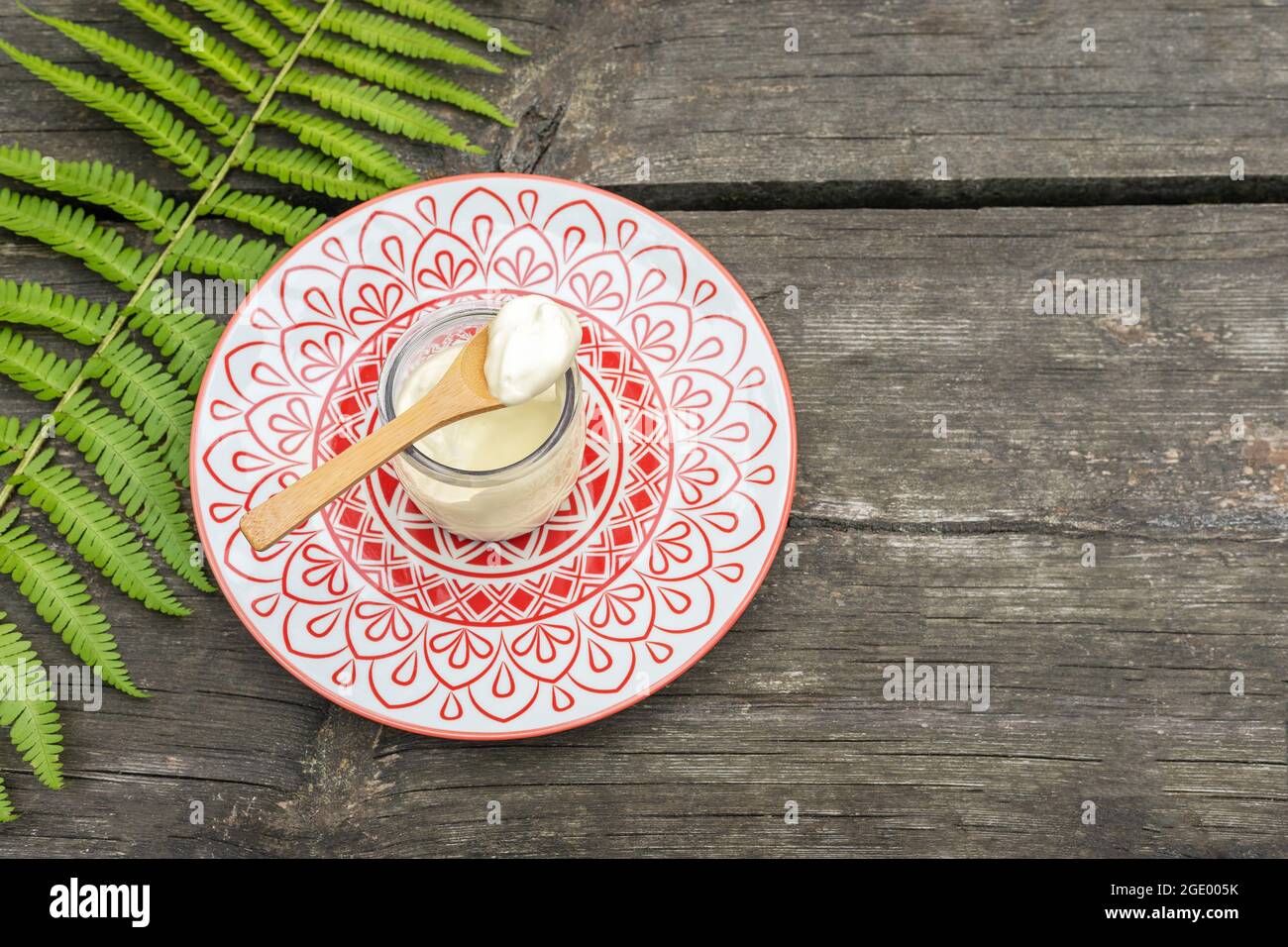 Eco friendly, food, composition with organic, vegan, homemade yogurt fern leave on a wooden table with place for text. Dairy-free yogurt. Mindful and Stock Photo