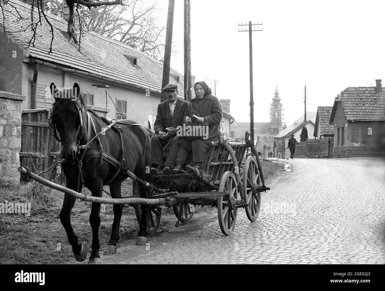 Family on Horse Pulled Cart in Cordoba City, Argentina Editorial Stock  Photo - Image of neighborhood, family: 192831243