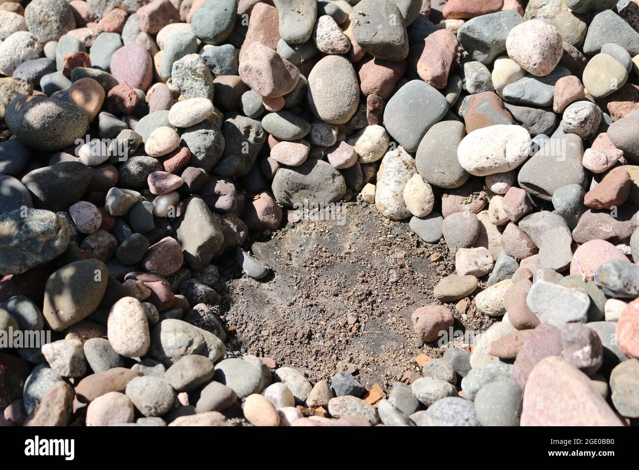 Planting around rocks Stock Photo - Alamy
