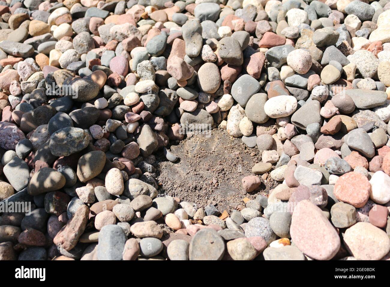 Planting around rocks Stock Photo - Alamy
